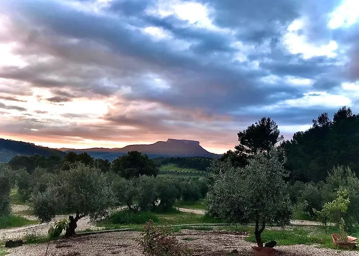 Casa Rural Cortijo La Ajedrea