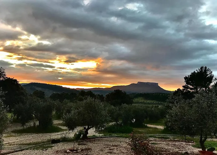 Casa Rural Cortijo La Ajedrea