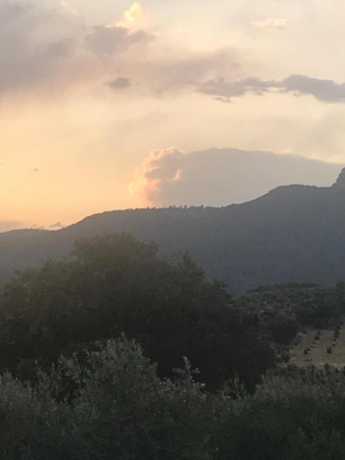 Cortijo La Ajedrea Apartamento Siles